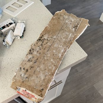 Blues Brothers Construction - Checked on progress, to find a piece of moldy drywall left to sit on my kitchen counter over the weekend. - General Contractors Near Me - San Jose, California