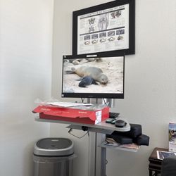 Alicja Steiner, MD - Peaceful nature video, cleanliness, organized, good smell.