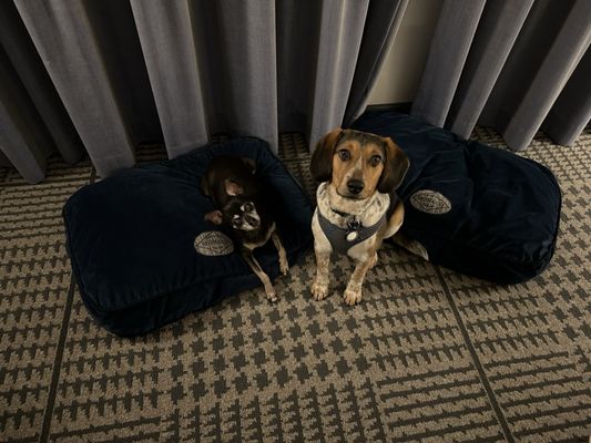 Kimpton Hotel Monaco Denver by null