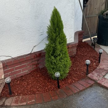 Vargas Landscaping - Landscaping Near Me - Compton , California