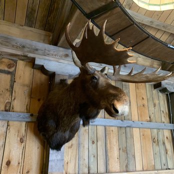 Connolly Brothers Dairy Farm - a moose head mounted on a wall - CSA Near Me - Temple, New Hampshire Connolly Brothers Dairy Farm - a moose head mounted on a wall - CSA Near Me - Temple, New Hampshire
