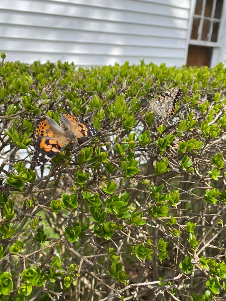 Lifes Little Treasures Family Childcare Center - childcare center in Malden, MA