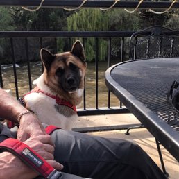 Pet friendly patio