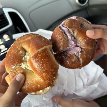 Shug's Bagels - Salt Bagel and Blueberry Bagel - Bagels Near Me - Austin, Texas