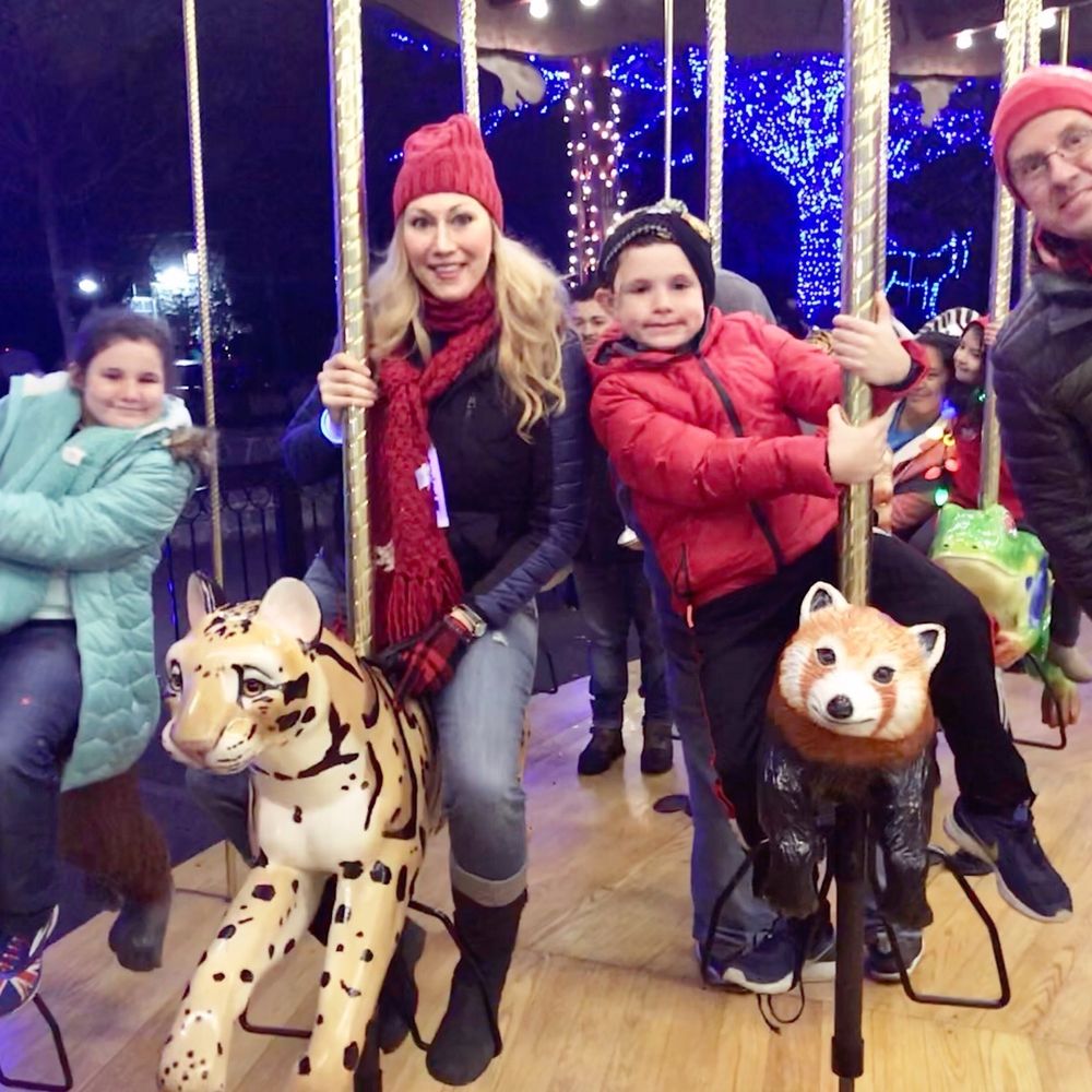 ZooLights - Zoos Near Me - Washington, DC, District of Columbia
