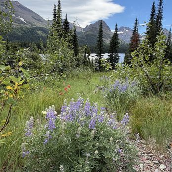 Red Eagle Campground - Campgrounds Near Me - East Glacier Park Village, Montana