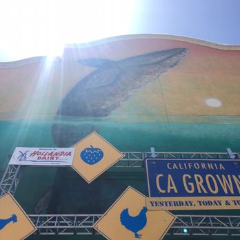 San Diego County Fair - Festivals Near Me - Del Mar, California San Diego County Fair - Festivals Near Me - Del Mar, California