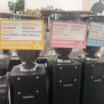 Mane Coffee - Coffee & Tea Near Me - Boca Raton, Florida