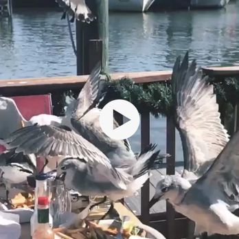 Pinchers - Seafood Near Me - Naples, Florida