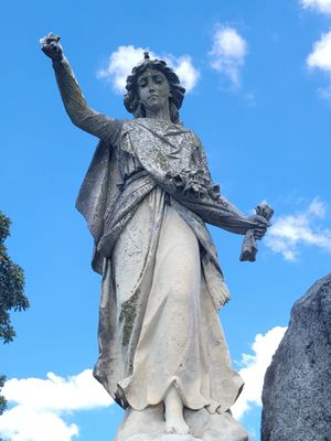 Elmwood Cemetery by null