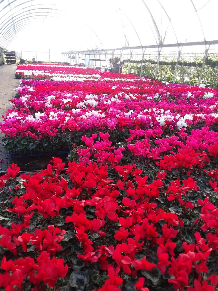 GREAT WESTERN GROWERS 26 Photos 10655 Stancliff Rd, Houston, Texas