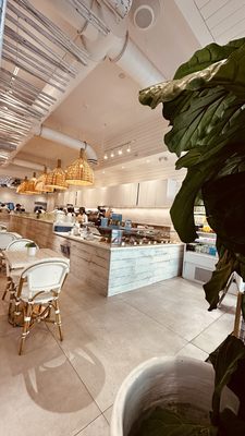 Pura Vida Miami by null