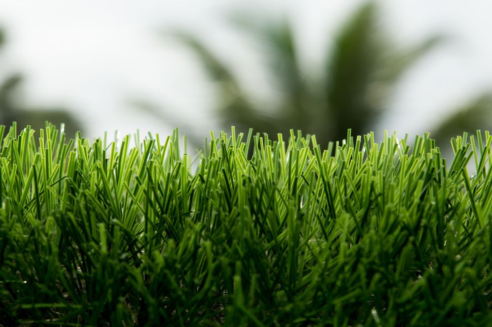 ARTIFICIAL TURF INSTALLERS Updated August 2024 15 Photos 22809