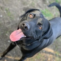 Lake City Pet Hospital - Jackson