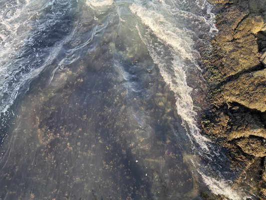 Fort Independence by null