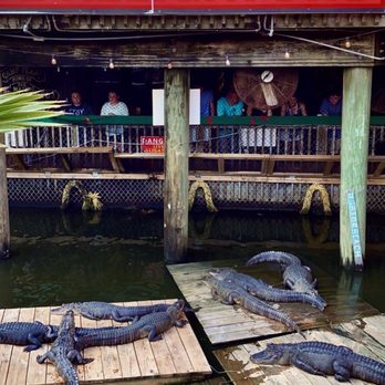 Gator Beach - Amusement Parks Near Me - Destin, Florida