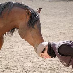 Karuna Stables
