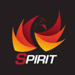 Spirit Martial Arts Supplies