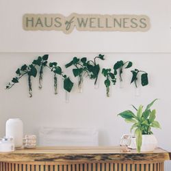 Haus Of Wellness