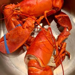 Narragansett Bay Lobsters Inc