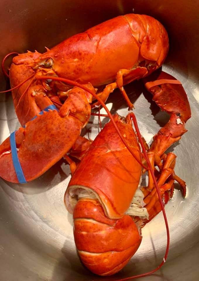 NARRAGANSETT BAY LOBSTERS INC Updated September 2024 268 Great