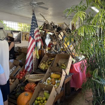 Little Havana - Local Flavor Near Me - Miami, Florida
