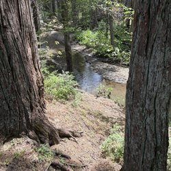 Eshom Campground