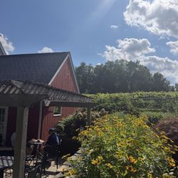 Taylor Brooke Winery