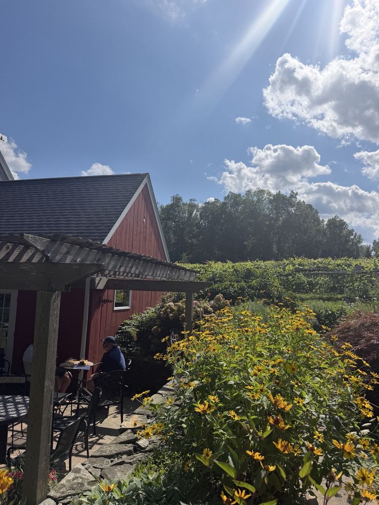 Taylor Brooke Winery Logo