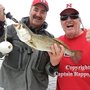 Photo of Captain Rapps