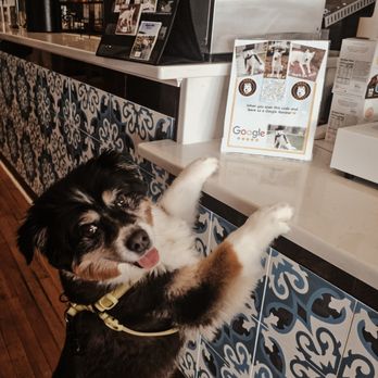 Awoo Coffee - Coffee & Tea Near Me - Greensboro, North Carolina Awoo Coffee - Coffee & Tea Near Me - Greensboro, North Carolina