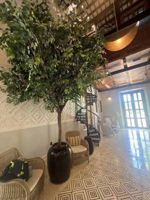 Hacienda Xcanatun, Angsana Heritage Collection by null