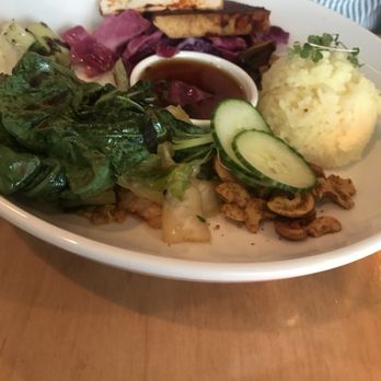 Plant - Vegan Near Me - Asheville, North Carolina Plant - Vegan Near Me - Asheville, North Carolina
