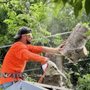 Photo of Muniz Tree Service
