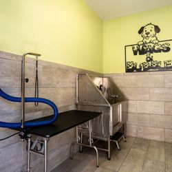 Aventine Northshore