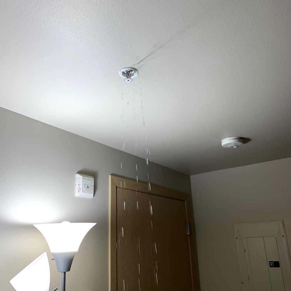 Alcyone Apartments - Apartments Near Me - Seattle, Washington Alcyone Apartments - Apartments Near Me - Seattle, Washington
