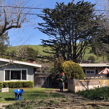 Marin County Arborists - Landscaping Near Me - San Rafael, California Marin County Arborists - Landscaping Near Me - San Rafael, California
