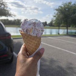 Howdy Doodles Ice Cream Coach