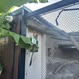 Monkey Monkey