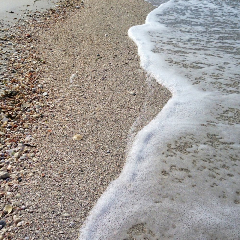 The selection of shells is impressive! The selection of shells is impressive!