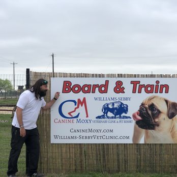 Canine Moxy - Outdoor Sign #3 - Pet Training Near Me - Buda, Texas