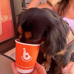puppp cupppp puppp cupppp