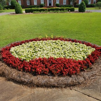 Premium Petals Landscape - Annual beds - Irrigation Near Me Premium Petals Landscape - Annual beds - Irrigation Near Me