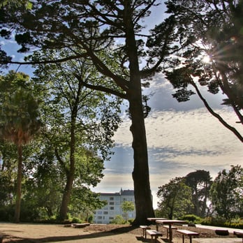 Lafayette Park - A few park benches are available for picnics at the top of the hill of Lafayette Park under an eclectic variety of Pines, Eucalyptus & Palms - Dog Parks Near Me - San Francisco, California Lafayette Park - A few park benches are available for picnics at the top of the hill of Lafayette Park under an eclectic variety of Pines, Eucalyptus & Palms - Dog Parks Near Me - San Francisco, California