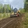 Alaska Eco Forestry