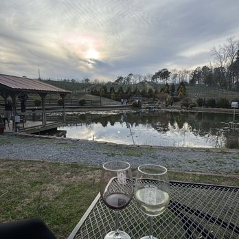 Big Door Vineyards - views - Wineries Near Me - White, Georgia