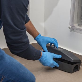 Advantage Pest Control Solutions - Pest Control Near Me - Belleville, Illinois Advantage Pest Control Solutions - Pest Control Near Me - Belleville, Illinois
