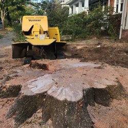 Chads Stump Grinding