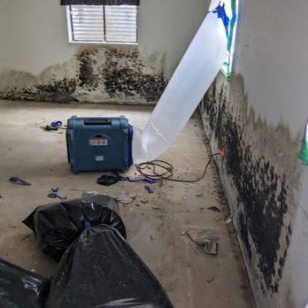 Environment Control - Damage Restoration Near Me - Colorado Springs, Colorado Environment Control - Damage Restoration Near Me - Colorado Springs, Colorado