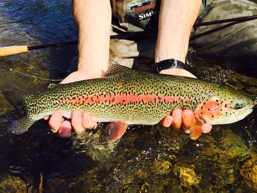 SUSITNA VALLEY RIVER GUIDES Updated September 2024 14890 Willow